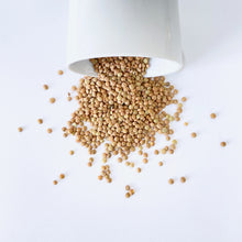 Cargar imagen en el visor de la galería, Lenteja, lentejas, lentils, frijol, leguminosas, legumbres, sopa de lenteja, mesa sana, Carmeluz venta a granel zero waste en San Nicolás, General Escobedo, Contry, Cumbres, San Pedro Garza García, Apodaca, Monterrey, Nuevo León, Saltillo, Coahuila