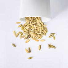 Cargar imagen en el visor de la galería, Semilla de calabaza, pepita de calabaza, semillas, Carmeluz venta a granel zero waste en San Nicolás, General Escobedo, Contry, Cumbres, San Pedro Garza García, Apodaca, Monterrey, Nuevo León, Saltillo, Coahuila