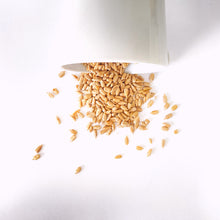 Cargar imagen en el visor de la galería, Semilla de girasol, ciclado de semillas, seed cycling, Carmeluz venta a granel zero waste en San Nicolás, General Escobedo, Contry, Cumbres, San Pedro Garza García, Apodaca, Monterrey, Nuevo León, Saltillo, Coahuila