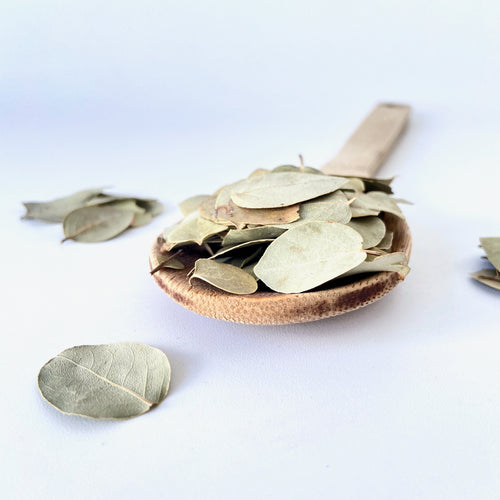 Laurel, laurel seco, especias, condimentos, hierbas finas, recetas, venta a granel, sustentable, zero waste, de venta en San Nicolas, General Escobedo, Guadalupe, San Pedro Garza García, Cumbres, Contry y Monterrey, Nuevo León